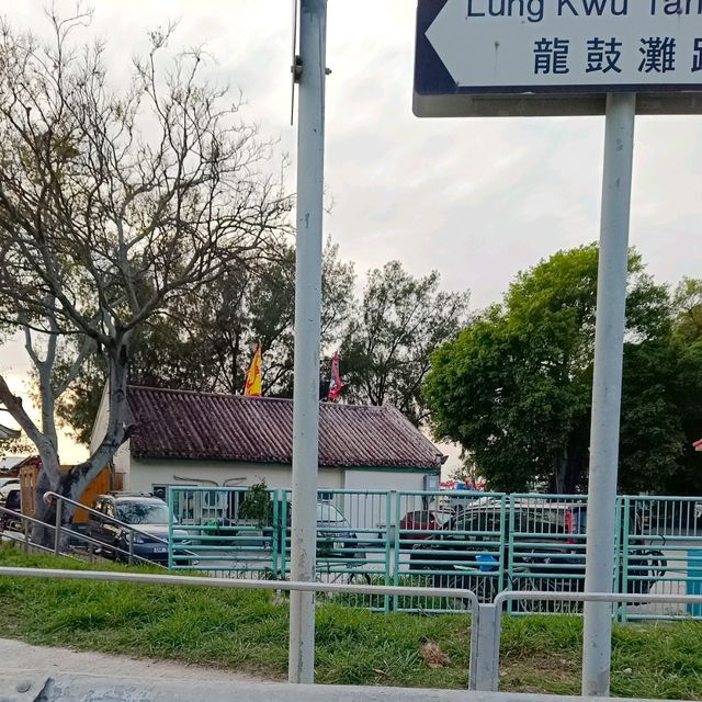 龍鼓灘，沿途棕櫚樹，很有海洋風味！