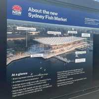 年年有餘(漁) @Sydney Fish Market