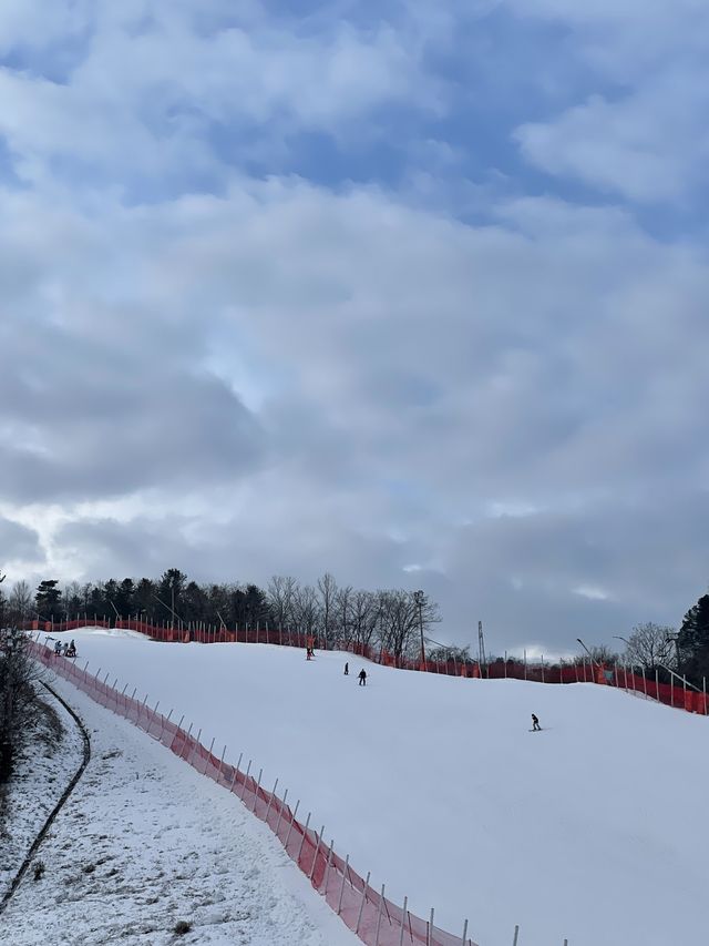 서울에서 가까워서 좋은 웰리힐리파크❄️