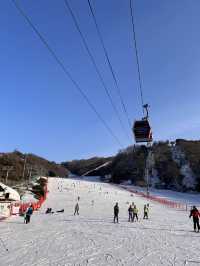 홍천 비발디파크에서 스키 즐기기!⛷️