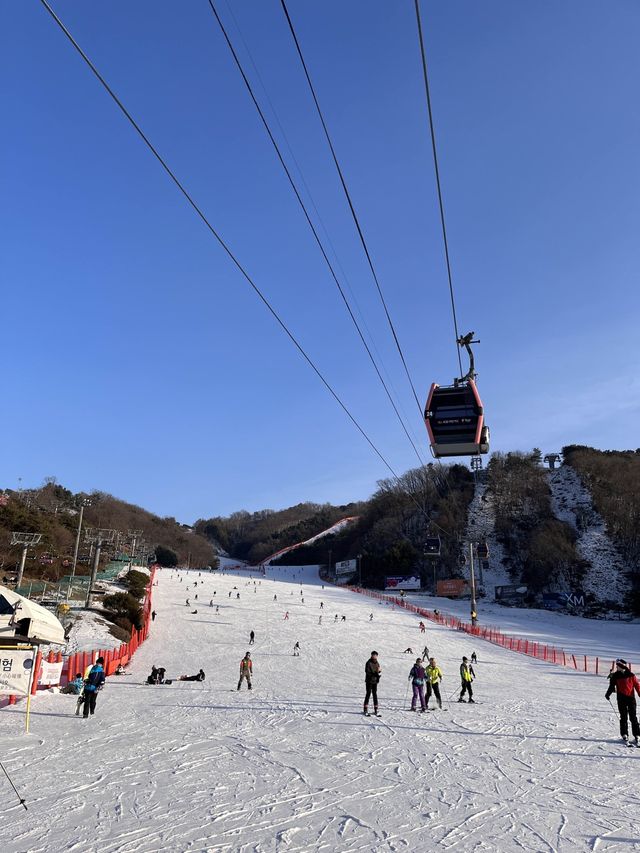 홍천 비발디파크에서 스키 즐기기!⛷️