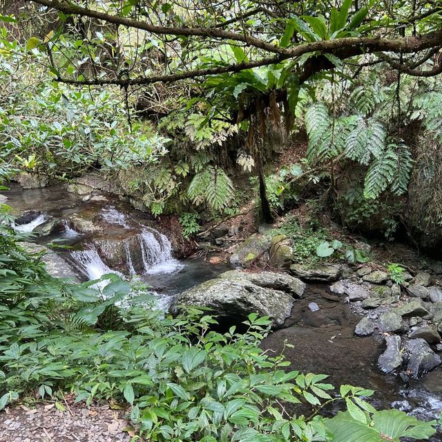 宜蘭 林美石磐步道