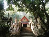 ทริปมิชชั่นนั่งสมาธิที่วัดผาลาด