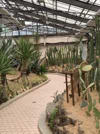 인천 피크닉하면서 선인장과 식물들 볼 수 있는 수목원 온실🌵 [인천_인천대공원수목원온실]