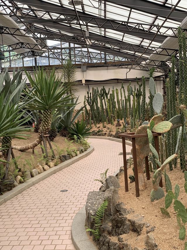 인천 피크닉하면서 선인장과 식물들 볼 수 있는 수목원 온실🌵 [인천_인천대공원수목원온실]