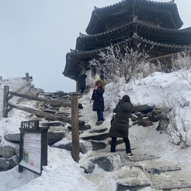 ไปเล่นหิมะกันที่ มูจู เกาหลีใต้ ! 🇰🇷🇹🇭