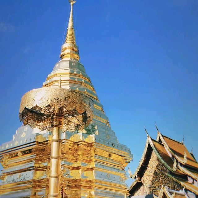 ไหว้พระ ชมวิวที่พระธาตุดอยสุเทพ