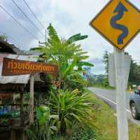ร้านอร่อย วิวธรรมชาติ