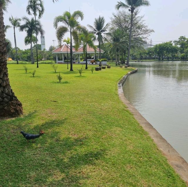 สวนจตุจักร 🌿🌷 