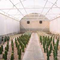 Chan nature cafe’