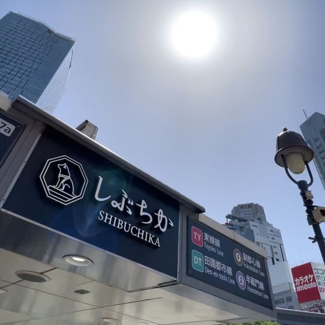일본 최대 교차로, 시부야 스크램블 교차로