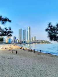 해운대모래축제는 성공적✨️세계모래조각전은 6월까지!
