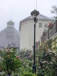 【雨の日で幻想的なハーブ園】神戸布引ハーブ園