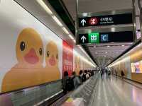 坐港鐵遊香港 | 港鐵站尋鴨之旅(上) 