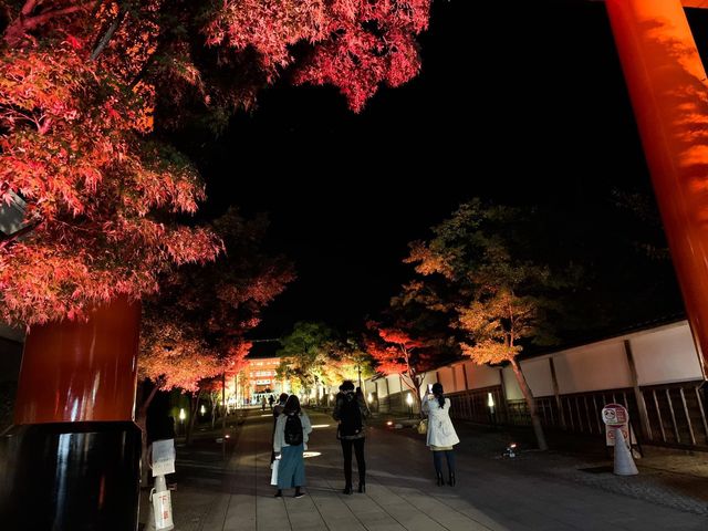 ศาลเจ้าฟูชิมิอินาริ 伏見稲荷大社 (Night time)⛩️🌌