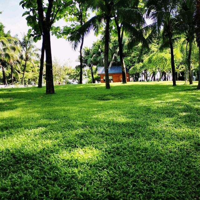 深圳灣公園• 濱海休閒帶