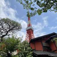 一年四季都有唔同花睇嘅芝公園