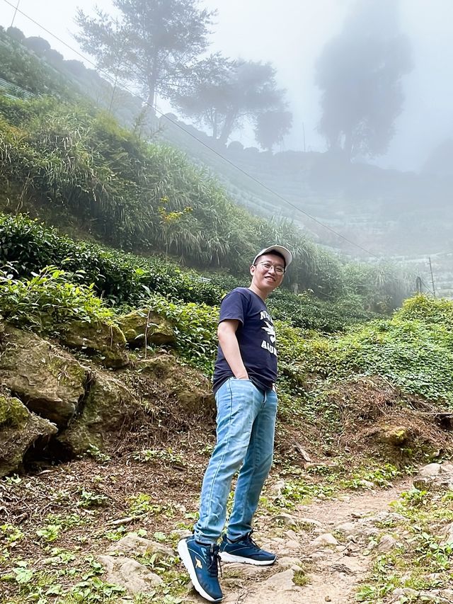 從凡間到仙境的路，搭乘接駁車上忘憂森林❤️