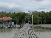 สะพานไม้ บานา @ปัตตานี
