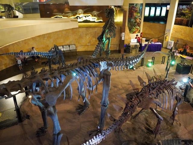 พิพิธภัณฑ์สิรินธร ดินแดนไดโนเสาร์ จ.กาฬสินธุ์ 
