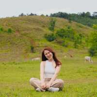 “ระนอง” ไม่ได้มีดีแค่ทะเล 🌾
