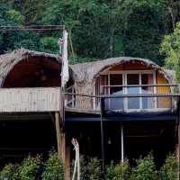 ดาวบนดิน" Camping 