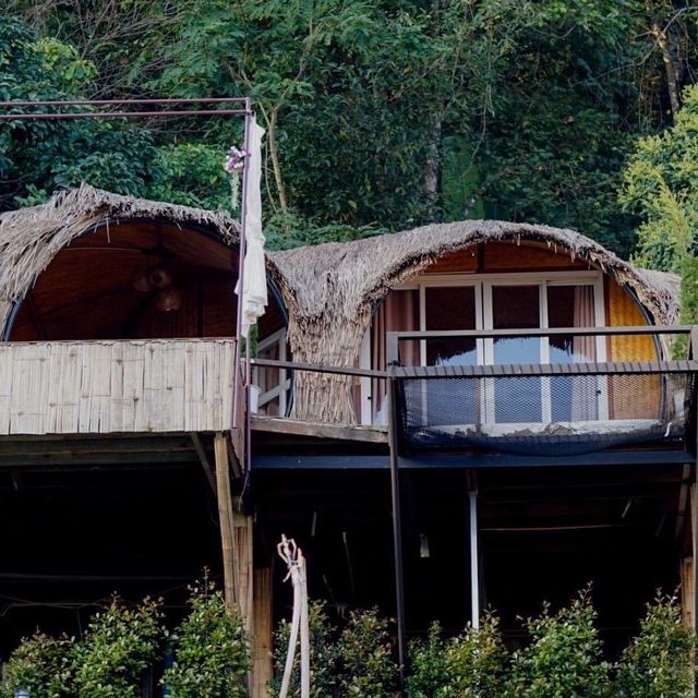 ดาวบนดิน" Camping 