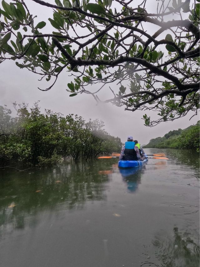 《香港》天然黑寶石🖤｜出海🚣🏽‍♀️去荔枝莊一日遊