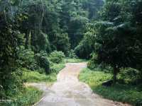 นอนฟังสายฝนที่บ้านต้นไม้แม่แมะ จ.เชียงใหม่