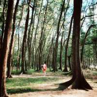 อุทยานแห่งชาติแหลมสน ประทับใจธรรมชาติ