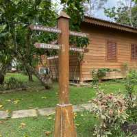 Beautiful resort in the nature, Fifty4Fern