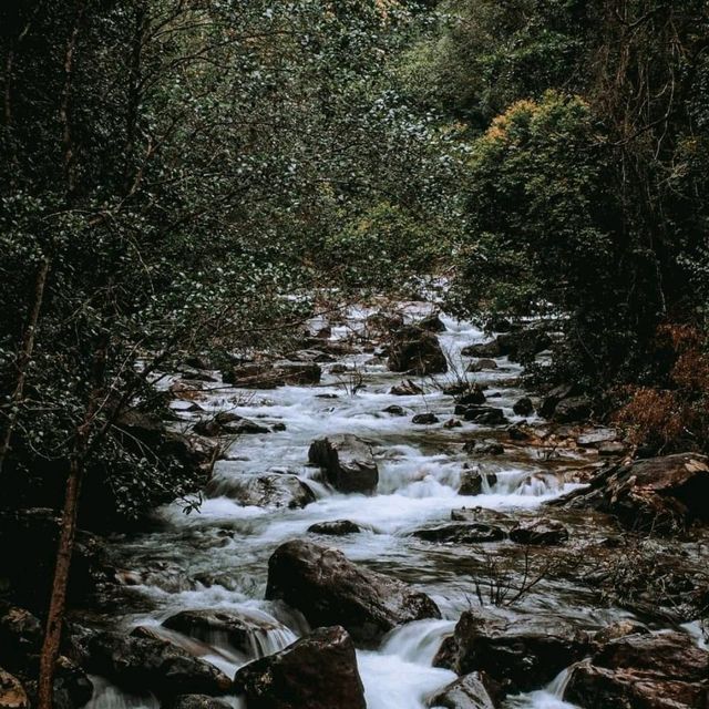 เกาะช้างไม่ได้มีดีแค่ทะเล 🏞🌿
