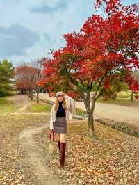 Best autumn spots in Seoul & beyond 🍁🍂