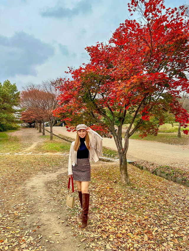 Best autumn spots in Seoul & beyond 🍁🍂