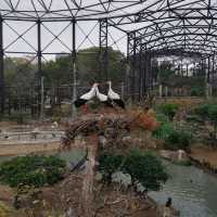 入場料 大人500円！大満足 天王寺動物園