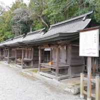 【福岡】世界遺産✨「宗像大社」⛩️