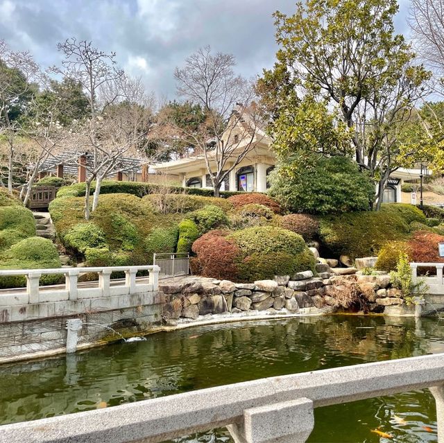 부산 동래 충렬사 ! 매화가 아름다운곳 숨은매화명소 🌸