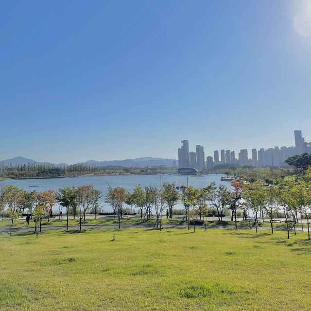 피크닉 하기 딱 좋은 세종 호수공원 !🌳