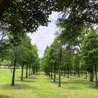 大溪河濱公園