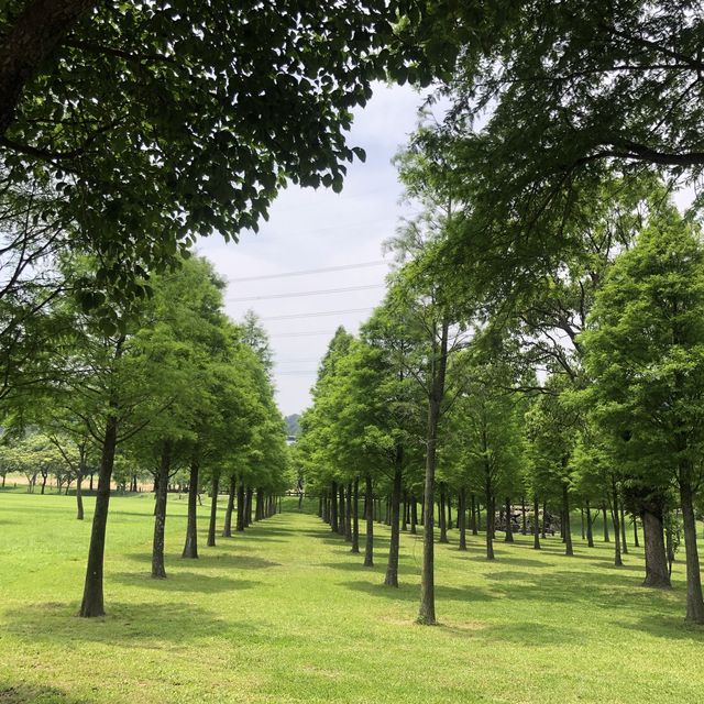 大溪河濱公園