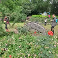 虞山公園的個人體驗感受