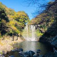 🇰🇷韓國濟州島風景💧💦 Cheonjiyeon Waterfall 천지연폭포