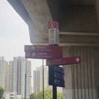  具有香港小京都之稱 - 南蓮園池