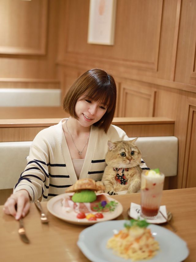 旺角 pet friendly cafe 