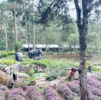 Exploring Baguio’s Botanical Wonders