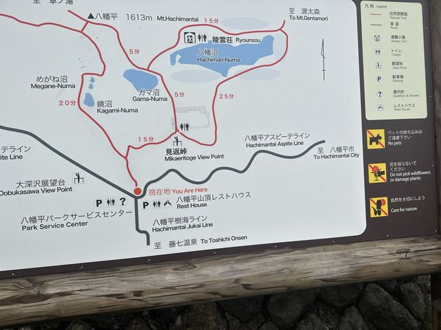 【岩手】霧で真っ白の八幡平、、