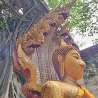 ทำบุญไหว้พระ ใกล้กรุงเทพฯ วัดสังกระต่าย