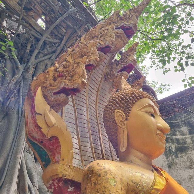 ทำบุญไหว้พระ ใกล้กรุงเทพฯ วัดสังกระต่าย