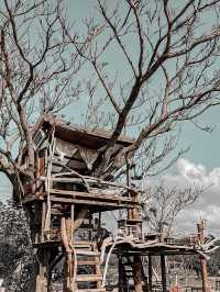 台灣熱門網紅必到開門見山樹屋咖啡Treehouse cafe☕️