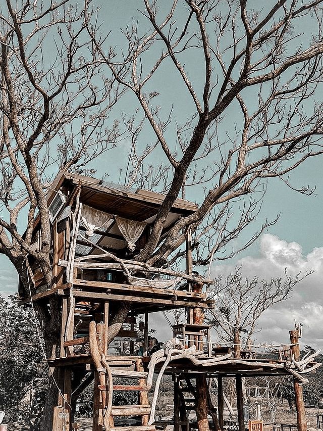 台灣熱門網紅必到開門見山樹屋咖啡Treehouse cafe☕️